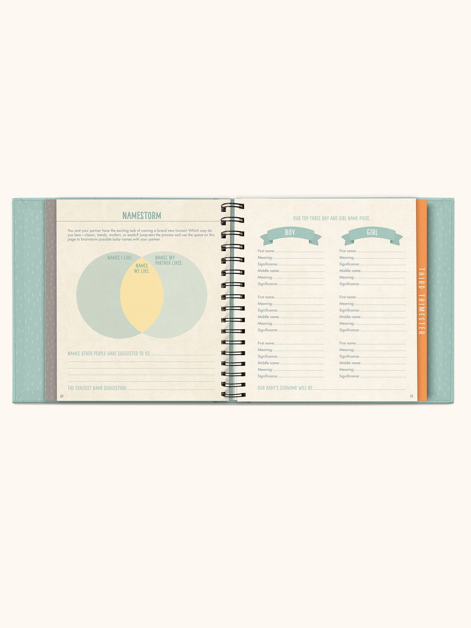 Bump For Joy Guided Journal - Image 9