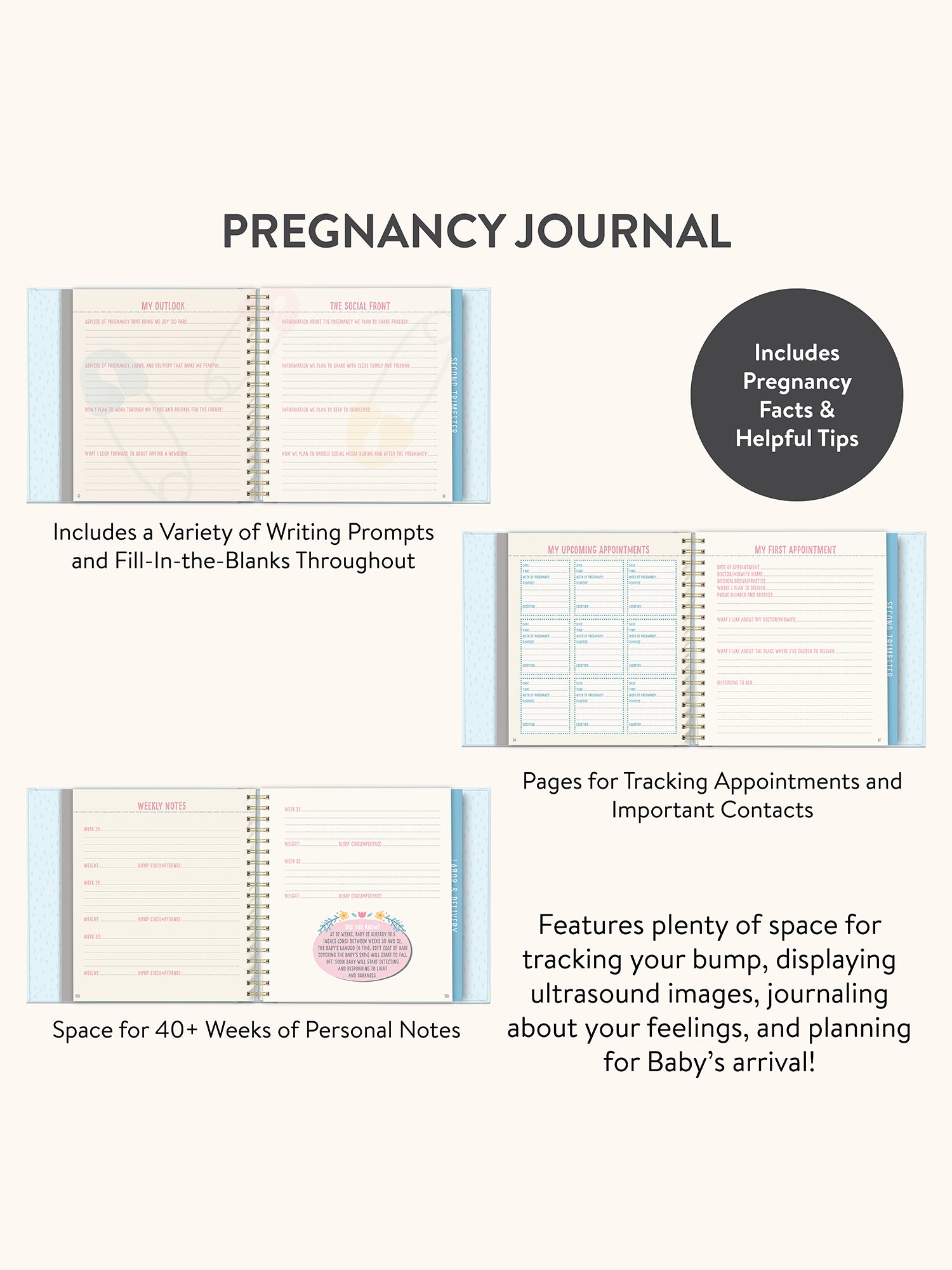 Bump For Joy Guided Journal (Blue) - Image 3