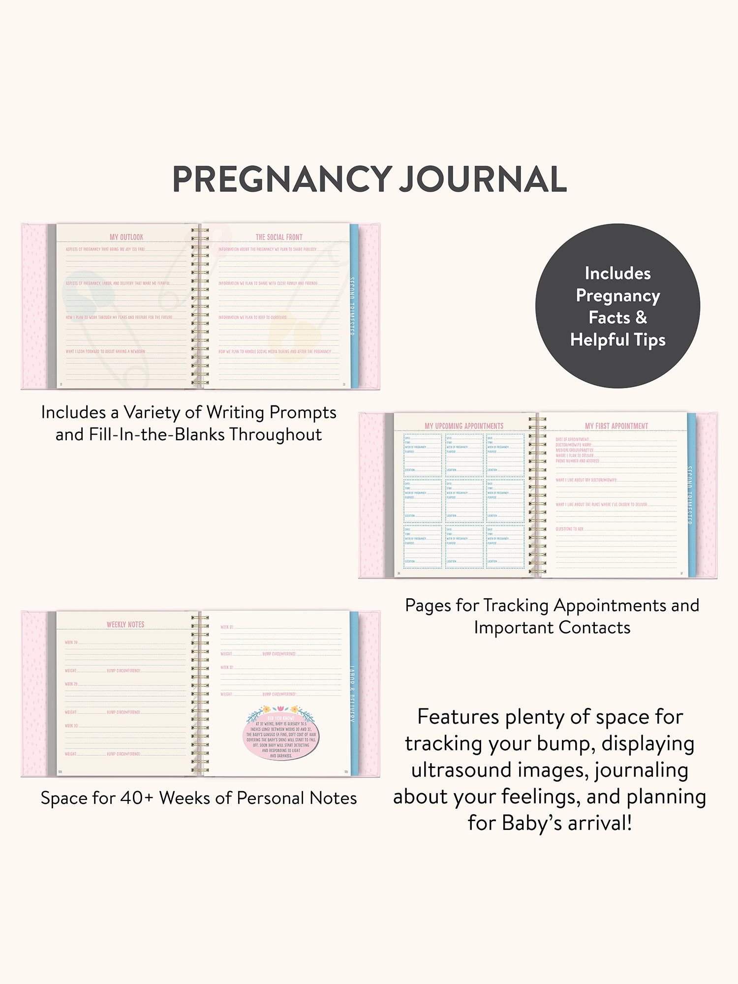 Bump for Joy Guided Journal (Pink) - Image 2