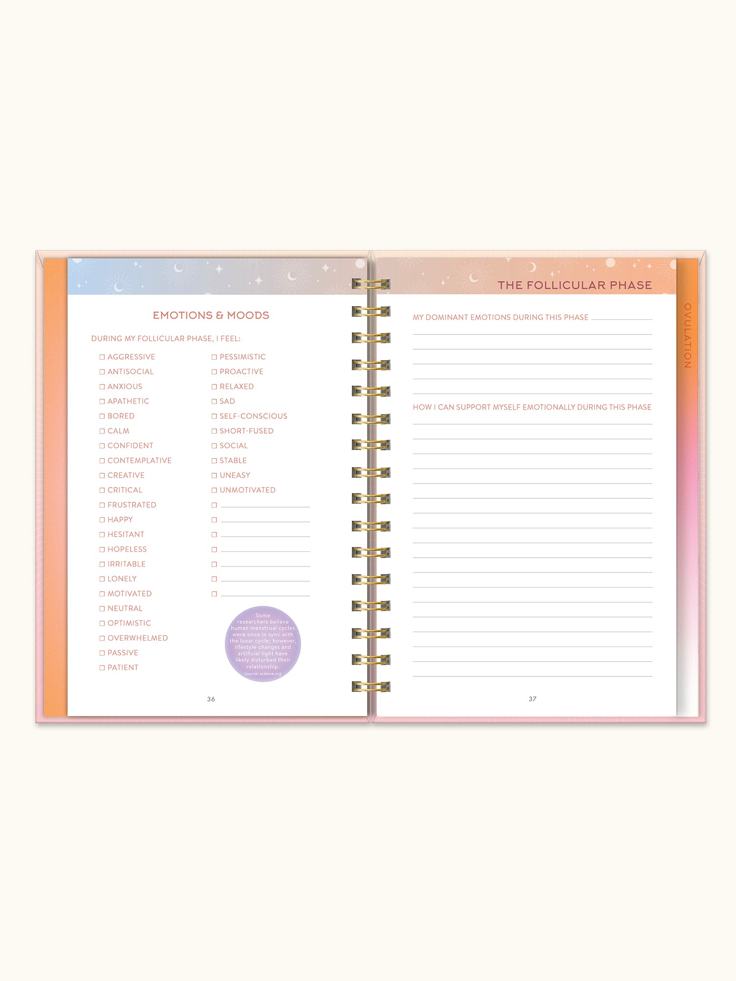 Moon of Mine Guided Journal - Image 3