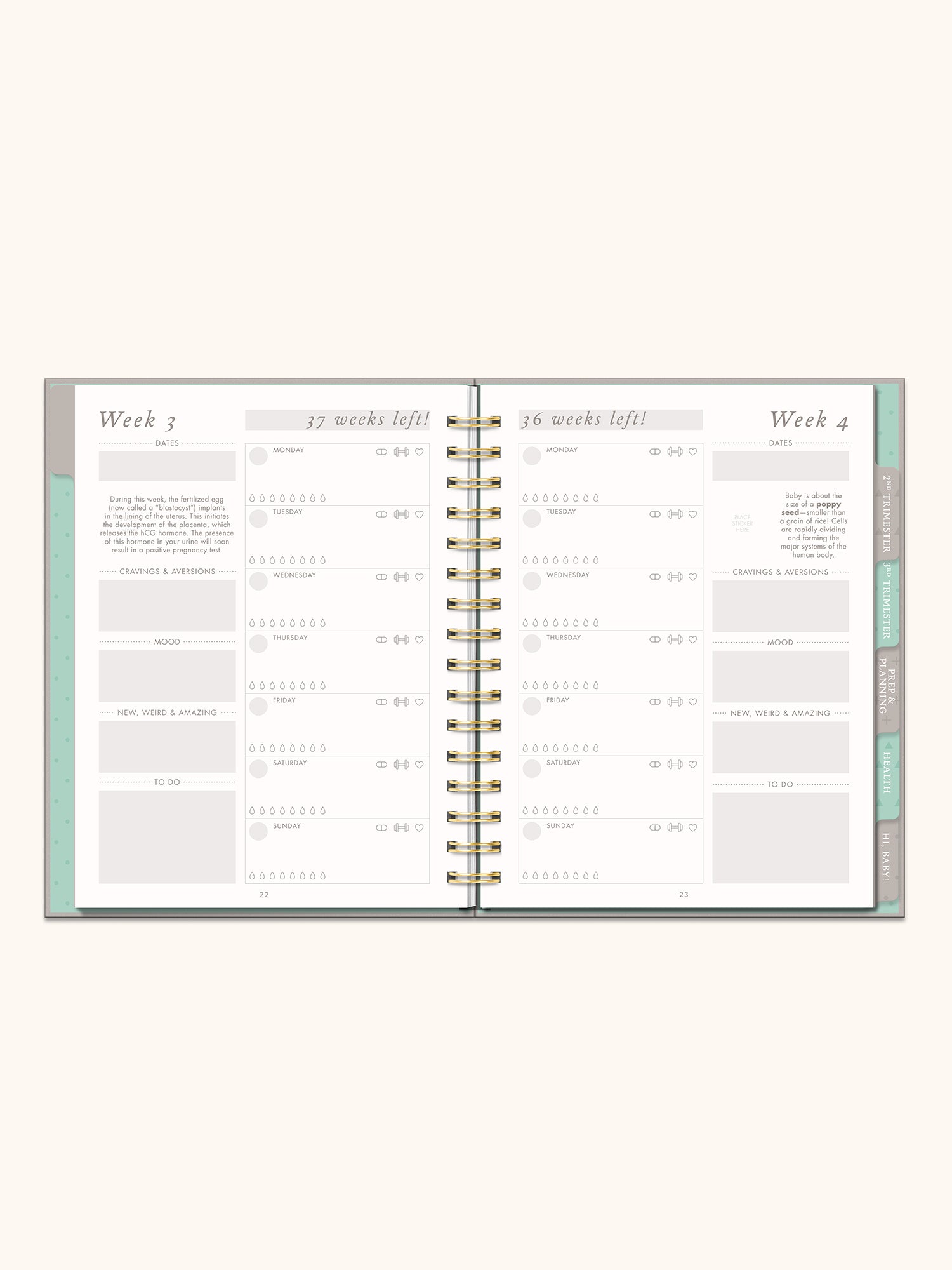 Countdown to Baby Undated Pregnancy Planner & Journal - Image 2